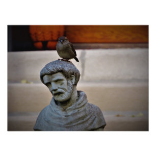 "Feathered Friend of Saint Francis" Foto Afdruk