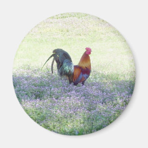 Feathered Pride Magnet Magneet