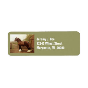 Feathers Clydesdale Draft Horse Adresetiketten Etiket