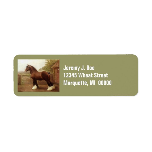 Feathers Clydesdale Draft Horse Adresetiketten Etiket (Voorkant)