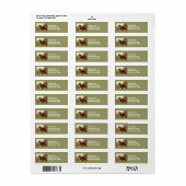 Feathers Clydesdale Draft Horse Adresetiketten Etiket (Full Sheet)