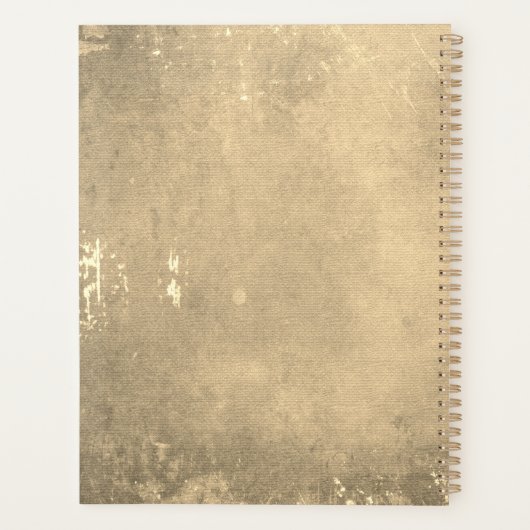 Feathers Dreamcatcher | Boho Grunge Style (Dos)