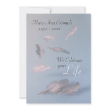 Feathers - Persoonlijke begrafenis / Life Celebrat