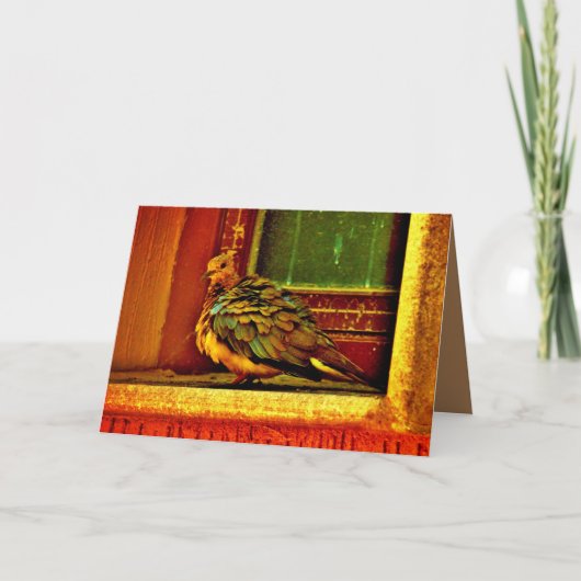 Feathery Dove Kaart (Voorkant)