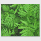 Feathery Green Ferns Cadeaupapier (Vlak)