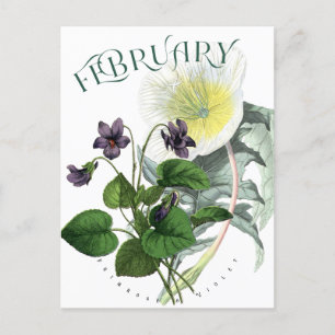 Februari Bloemen Primrose en Violet Fancy Briefkaart