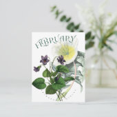 Februari Bloemen Primrose en Violet Fancy Briefkaart (Staand voorkant)