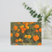 FEBRUARI BRIEFKAART (Staand voorkant)