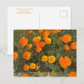 FEBRUARI BRIEFKAART (Voorkant / Achterkant)
