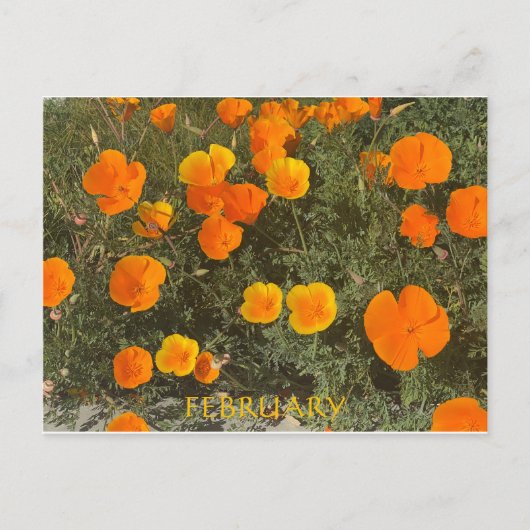 FEBRUARI BRIEFKAART (Voorkant)