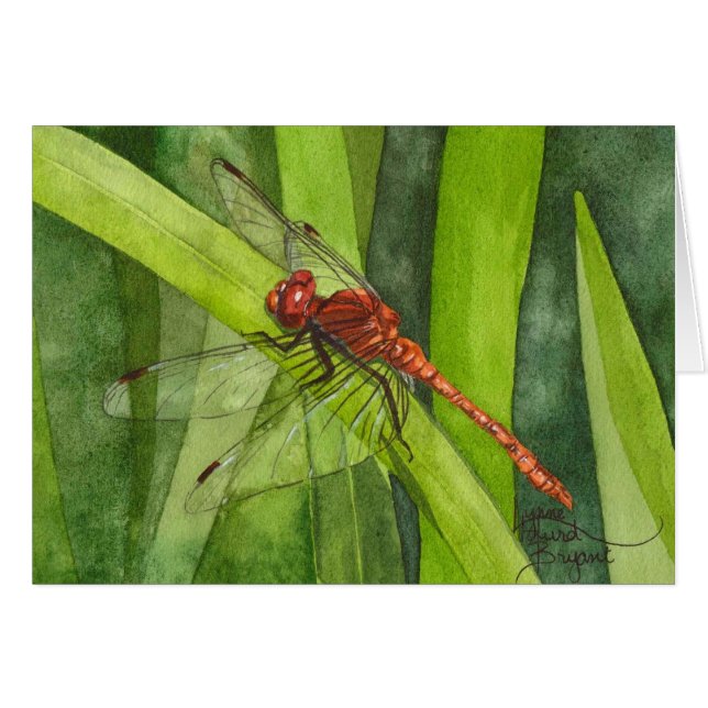 Februari Dragonfly (Voorkant Horizontaal)