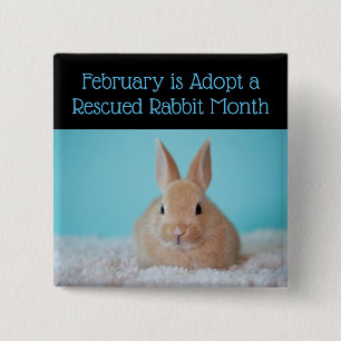 Februari wordt goedgekeurd een Rescued Rabbit Mont Vierkante Button 5,1 Cm