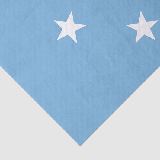 Federale Staten van Micronesia Tissuepapier (Detail)