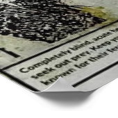 Fedra Infectiestappen Poster (Hoek)