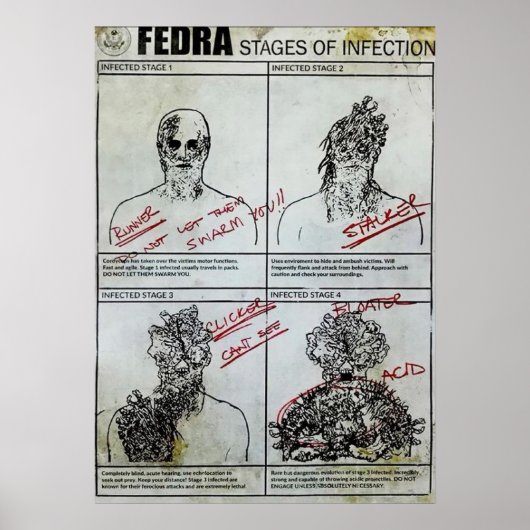 Fedra Infectiestappen Poster (Voorkant)