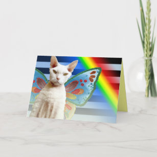 Fée Casper Rainbow   Carte d'anniversaire du chat 