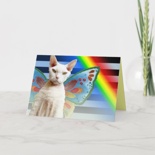 Fée Casper Rainbow | Carte d'anniversaire du chat  (Devant)