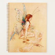 Fée Papillon Vintage