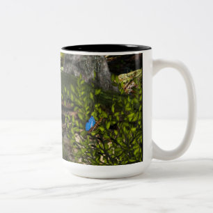 Fée sur un champignon Design 2 Mug