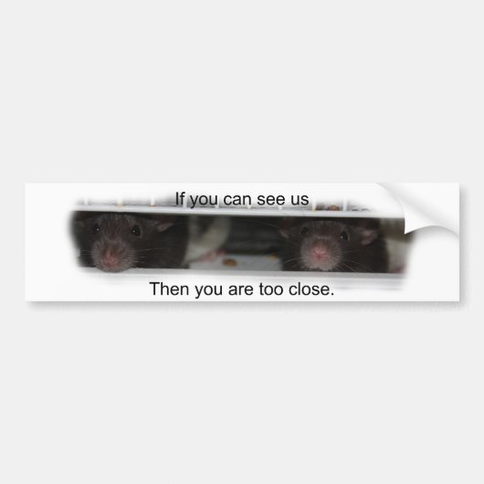 Feed Me Rattie Bumpersticker (Voorkant)