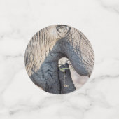 Feeding Confetti (Kleine voorkant)