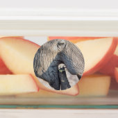 Feeding Labels (Aangebracht)
