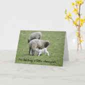 Feeding_Lambs, voel ik een weinig beschaamde… Kaart (Gele Bloem)