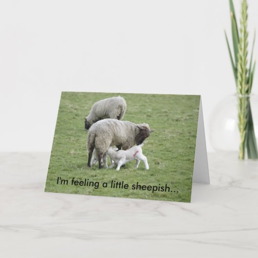 Feeding_Lambs, voel ik een weinig beschaamde… Kaart (Voorkant)