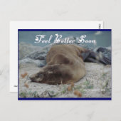 Feel Better Soon (Sea Lion) - Postcard Briefkaart (Voorkant / Achterkant)