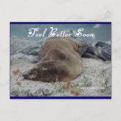 Feel Better Soon (Sea Lion) - Postcard Briefkaart (Voorkant)