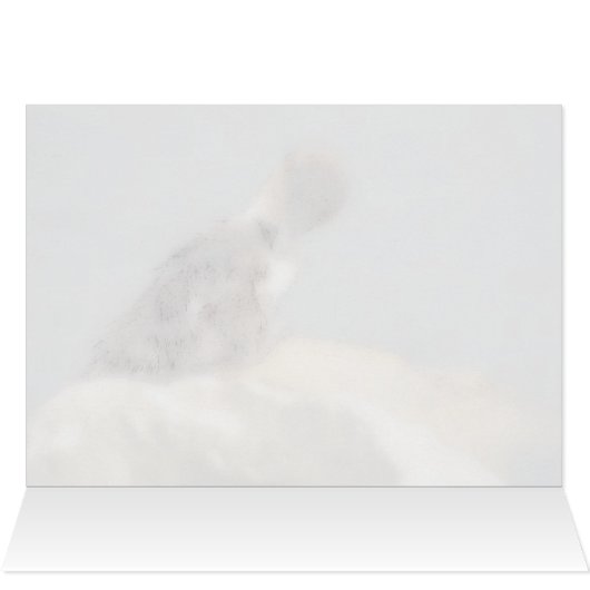 Feelin' Ducky - Duckkking Get Well Card (Intérieur Horizontal (Haut))