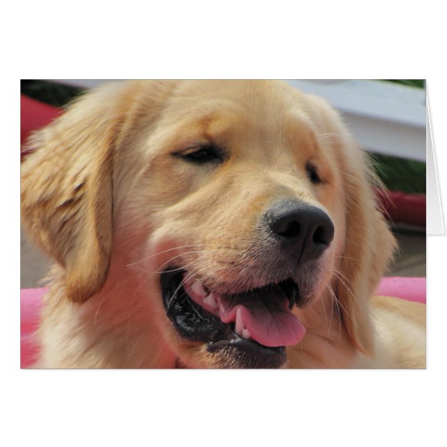 Feelin' Fine (Voorkant Horizontaal)