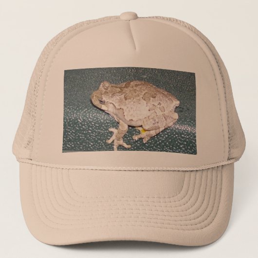 Feelin' Froggy Casquette (Devant)