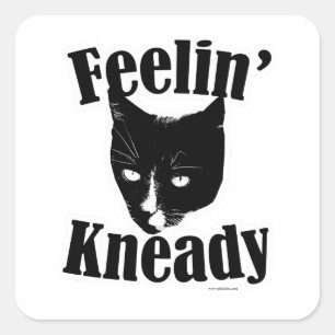 Feelin Kneady Funny Cat Cute Photo Slogan Vierkante Sticker