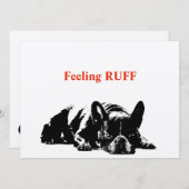 Feeling Ruff (Voorkant / Achterkant)