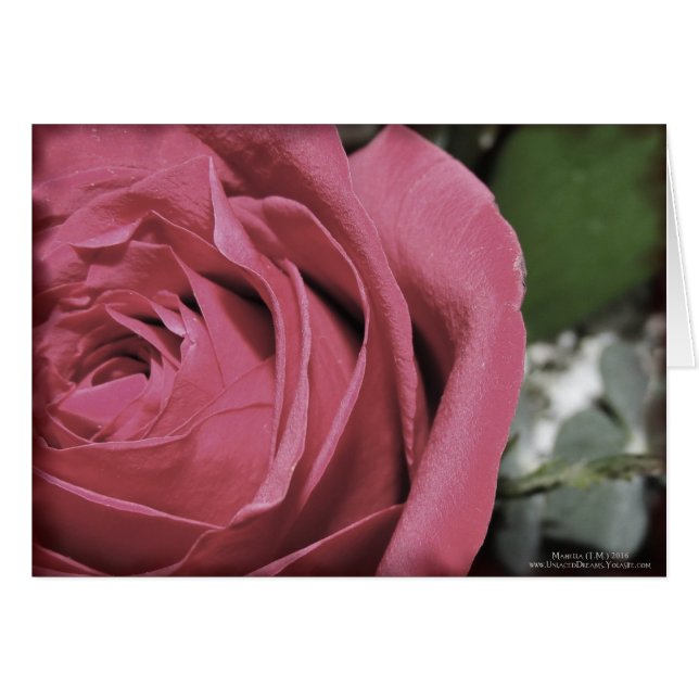 Feelings (Voorkant Horizontaal)