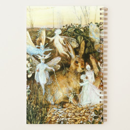 Fées et lapin (Dos)