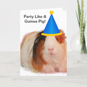 Feest als een Guinee varkenskaart