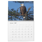 Feest dat je vrij bent 2025 Bald Eagle Kalender (Jan 2027)