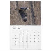 Feest dat je vrij bent 2025 Bald Eagle Kalender (Feb 2027)