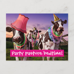 Feest tot de koeien thuiskomen uitnodiging briefkaart