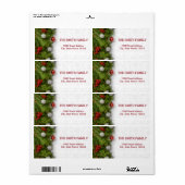 feestdag met witte sneeuw voor kerstmis etiket (Full Sheet)