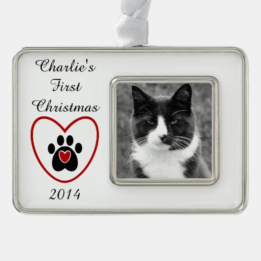  feestdag verzilverd kader ornament (Voorkant)