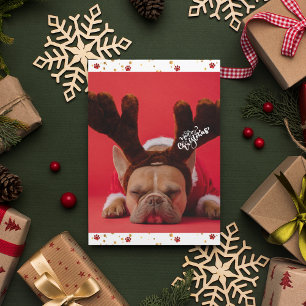 Feestdagen: Kerstmis in Bulldog Cute Dog Feestdagenkaart