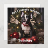  feestelijk harig duo (Voorkant / Achterkant)