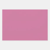 feestelijke axolotl inpakpapier vel (Voorkant 2)