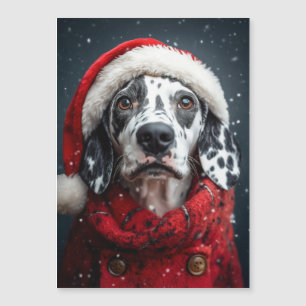 Feestelijke Dalmatiër in Santa Attire