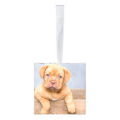 feestelijke feestkerst kubus ornament (Rechts)