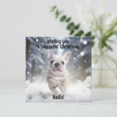  feestelijke frenchie Frolic (Staand voorkant)