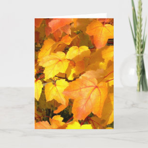 Feestelijke herfstkleuren Kaart